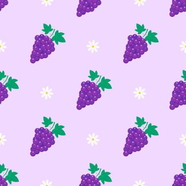 Mor üzümsüz arkaplan..