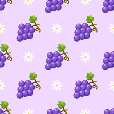 Mor üzümsüz arkaplan..