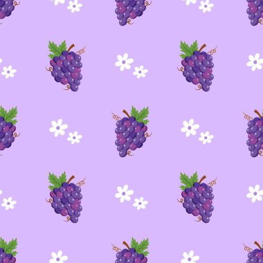 Mor üzümsüz arkaplan..