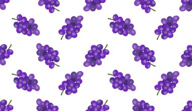 Mor üzümsüz arkaplan..