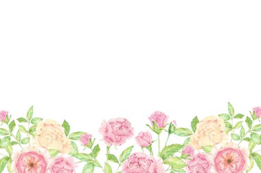 muz desen vektör çizim arka plan