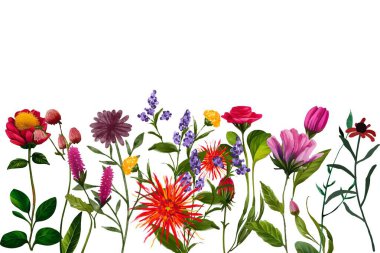 Tasarım için suluboya çiçekler arka plan vektörü.