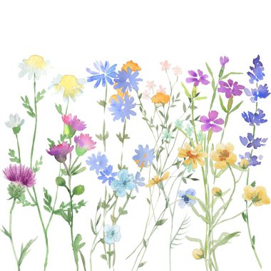 Tasarım için suluboya çiçekler arka plan vektörü.