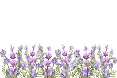 Suluboya vektör arkaplanlı lavanta çiçeği bahçesi. mor soyut duvar kağıdı tasarımı çiçekler, kır çiçekleri, çizgi sanatı