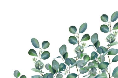 Watercolor floral green leaves background vector for design.