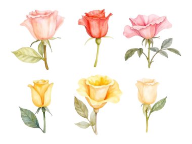 Bu resim, pembe, şeftali, turuncu ve sarıyı içeren çeşitli pastel renklerde altı suluboya gül sergiliyor. Her gül kendi sapı ve yapraklarıyla tasvir edilir, görsel olarak çekici bir çiçek aranjmanı oluşturur..