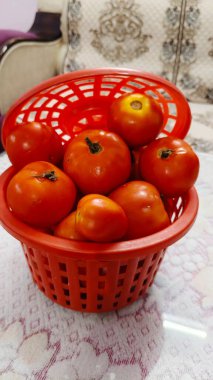 Mini roma domatesleri ve otlar. Sepette olgun kırmızı domatesler. Üst görünüm.