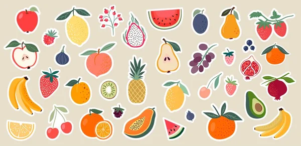 Αυτοκόλλητα Μεγάλη Συλλογή Φρούτα Διανυσματική Απεικόνιση Διακοσμητικό Σχεδιασμό — Διανυσματικό Αρχείο