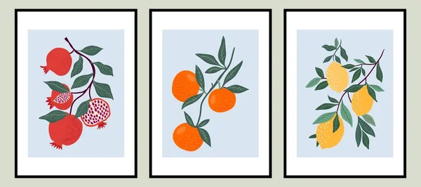 抽象異なる果物 レモン ザクロ オレンジ 夏のデザイン 審美的なミニマリストの背景セット 現代の流行の壁の装飾と現代のポスター — ストックベクタ