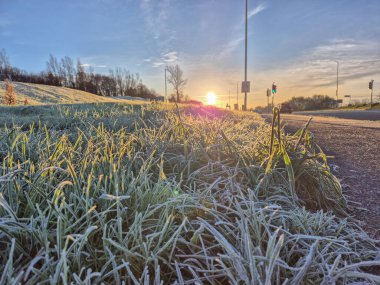 These images beautifully showcase the serene atmosphere of a frosty morning, where nature glistens under a delicate layer of frost. Vibrant green blades of grass and leaves are intricately coated with clipart