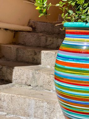 Canlı, yemyeşil bitkilerle bezenmiş bir tencere kırsal taş basamaklarda güneşlenir, canlı ve sanatsal bir açık hava sahnesi yaratır..