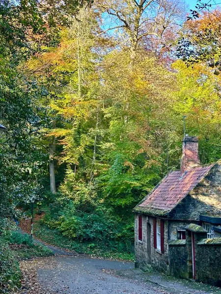 İngiltere 'nin Durham şehrindeki Prebend Köprüsü' nün yanında sonbahar ağaçlarının arka planına sahip fotojenik konforlu kulübe.