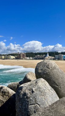 Portekiz 'in Nazare kentindeki Atlantik Okyanusu' na bakan beton bir dalgakıranın üzerinde tek başına tünemiş bir martı.