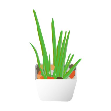 Renkli çakıl taşları düzenlenebilir ve çiziciler ve iç tasarımcılar tarafından projeleri için bitki desteği olarak kullanılmaya hazır bir aloe bitkisi vektör modeli. Loevera model grafik elementi.