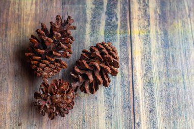 Soyut ahşap bir tahtanın üzerinde kurumuş kozalaklar var.