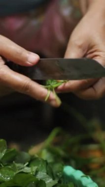 Çiğ ıspanak kesen bir kadının eli.