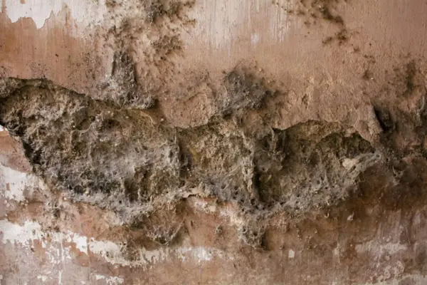 Örümcek ağlarıyla dolu çatlak bir ev.