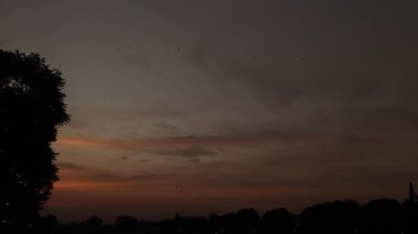 Canlı turuncu ve kırmızı silueti olan sakin bir alacakaranlık sahnesi. Bir ağacın silueti karanlık manzaraya derinlik ve huzurlu bir atmosfer ekler..