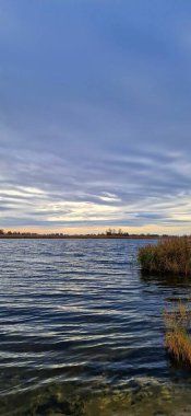 Vistula Nehri 'nin doğası. Sobizewo poland