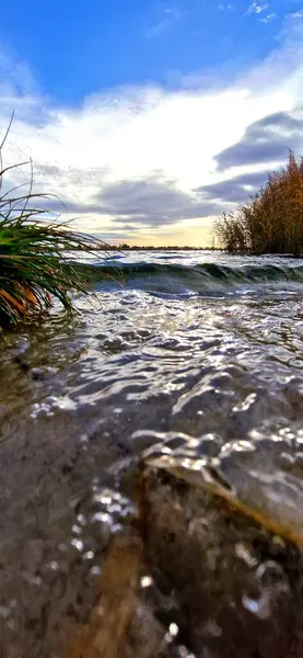 Vistula Nehri 'nin doğası. Sobizewo poland