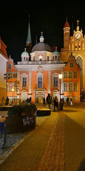 Polonya 'nın eski Gdask kasabasındaki katedralin gece manzarası.