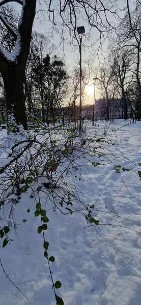 Parkın güzel manzarası