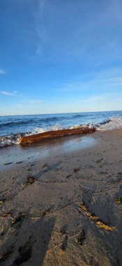 Güzel bir plaj ve kayaların dikey görüntüsü.