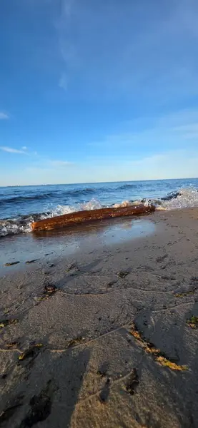 Güzel bir plaj ve kayaların dikey görüntüsü.