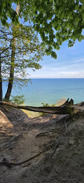 Tepenin tepesinden Baltık Denizi manzarası.