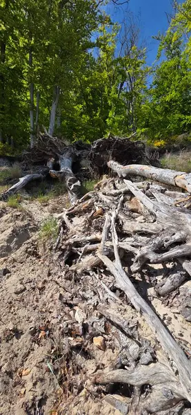 Dağlardaki nehrin güzel manzarası