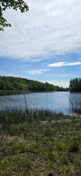 Bulutlu bir günde yeşilliklerle çevrili bir parktaki nehrin dikey görüntüsü.