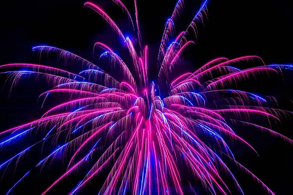 Siyah gökyüzüne karşı pembe havai fişekler