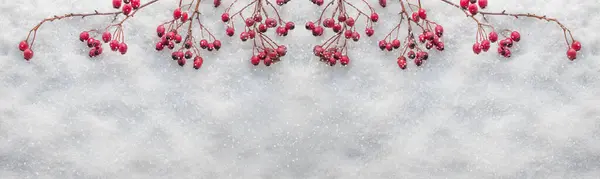 Noel arkaplanı. Beyaz arka planda kırmızı böğürtlen. Kopyalama alanı olan düz.