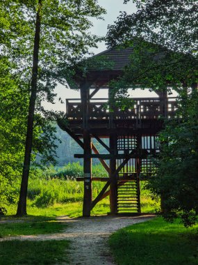 Huzurlu bir park ortamında yemyeşil bir alanla çevrili ahşap bir gözlem kulesi. Kulede ağaçların arasından süzülen güneş ışığıyla yukarı çıkan bir merdiven var..