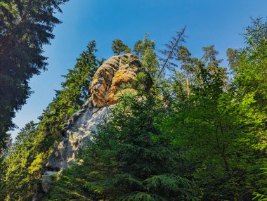 Berrak mavi gökyüzünün altında yemyeşil ağaçlarla çevrili yüksek bir kaya oluşumu. Güneş ışığı kayayı aydınlatır, dokularını ve renklerini aydınlatır..