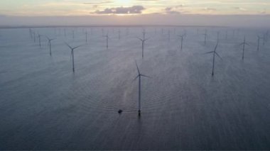 Hollanda 'daki rüzgar türbini, Avrupa' daki rüzgar enerjisi, Kuzey Denizi 'ndeki Hollanda rüzgar tarlaları