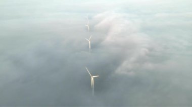 Hollanda 'daki rüzgar türbini, Avrupa' daki rüzgar enerjisi, Kuzey Denizi 'ndeki Hollanda rüzgar tarlaları