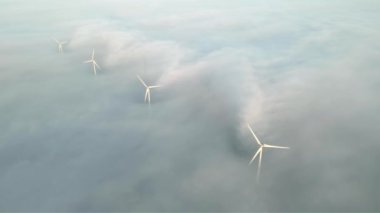 Hollanda 'daki rüzgar türbini, Avrupa' daki rüzgar enerjisi, Kuzey Denizi 'ndeki Hollanda rüzgar tarlaları