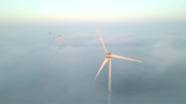 Hollanda 'daki rüzgar türbini, Avrupa' daki rüzgar enerjisi, Kuzey Denizi 'ndeki Hollanda rüzgar tarlaları