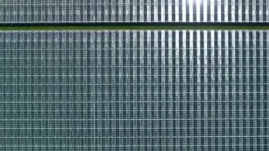 Arkasında Hollanda cam evleri olan geniş yeşil alan, canlı tarım manzarası sergiliyor