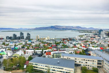 Reykjavik, İzlanda, İskandinavya Vibrant Reykjavik, İzlanda, ikonik mimarisi ve manzaralı manzaralara sahip