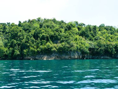 Orta Sulawesi, Endonezya 'daki Togian Adaları