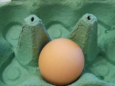 Yumurta tepsisinde bir yumurta