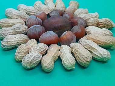 Sonbahar tohumları: fındık, tatlı kestane, fıstık