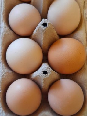 yumurta yumurta tepsisi.