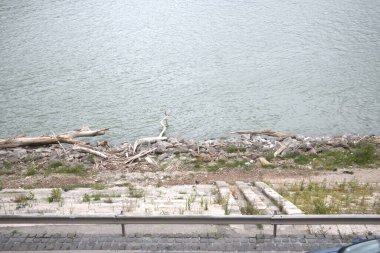 Yaz boyunca Tuna Nehri 'nin Budapeşte' deki nehir kıyısında dalgalanan odun ve dallar kıyıya vurdu..