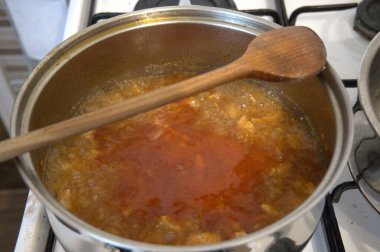 Geleneksel Macar tavuk güveci fırında haşlanıyor, ev yapımı gıda konsepti..