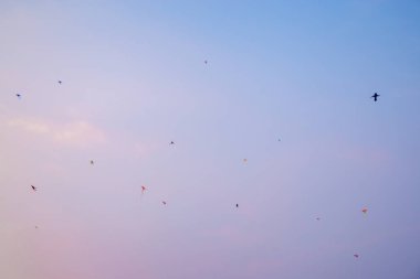 Açık Gökyüzü Altında Uçurtma Uçuran Çocuklar. Barışçıl ve Neşeli Açık Hava Sahnesi. Yüksek kalite fotoğraf