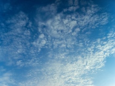 Küçük Ağaç ve Kaktüslü Ofis Dekorasyonu Konforlu ve Modern Çalışma Alanı Oluşturuyor. Yüksek kalite fotoğraf