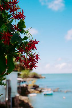 Vung Tau Beach with Blue Sky Flowers and Mother Mary Statue Scenic Coastal View with Coffee Shop Nearby High quality photo clipart